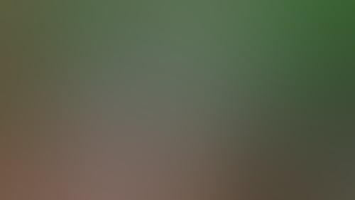 D97Ada78683C62C2450C1Db6Ec8C3Fe0