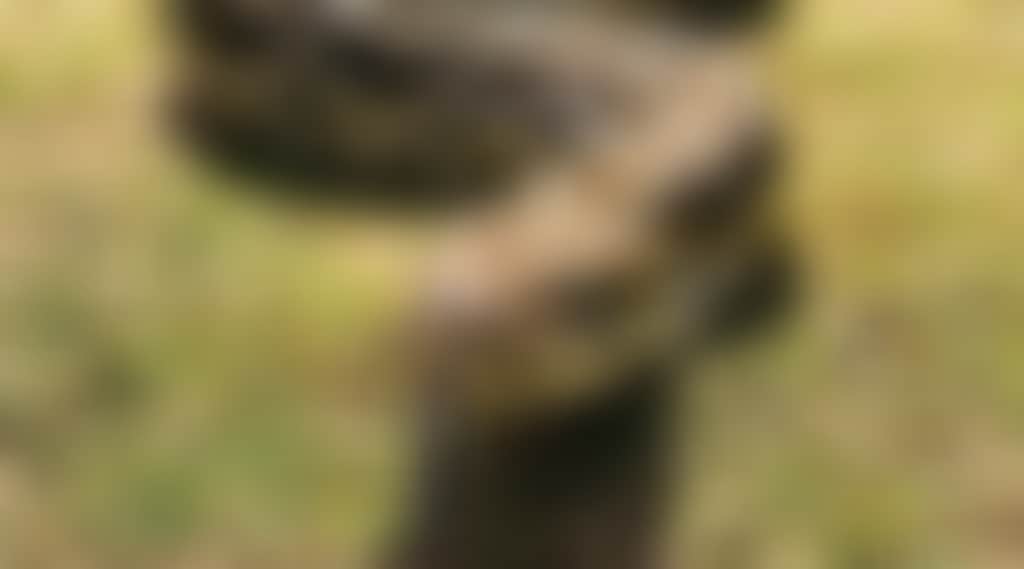 C2F2F77563351Ab11Ab19Bcbd077B9De
