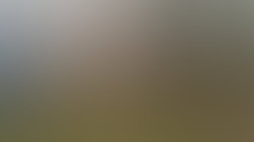 77Aef3A8D54C27Da30Dbc6Db310398Ce
