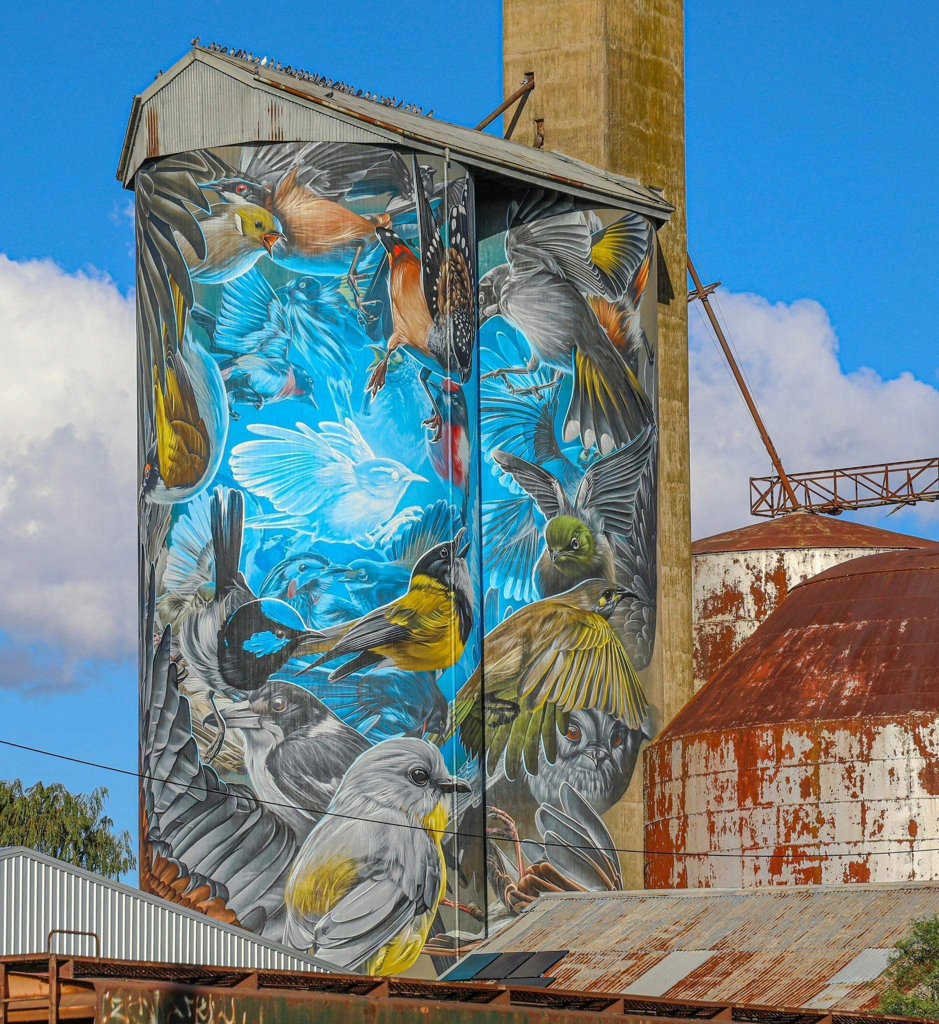 Murtoa Silo Art | Visit Grampians