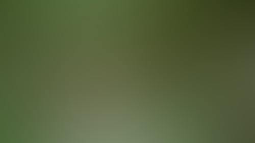 Ac7Baa9Ec5370E80Da95Af0D75Ecc32E