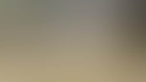 D6D680465062F8B8B0535Bb0Ad7Ffa77