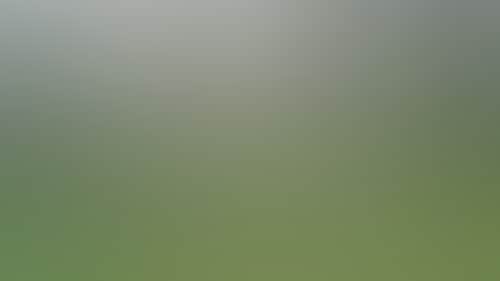 Original__9622205_Dp54_Dining_R__Outdoor_Area_Mdh7Etr