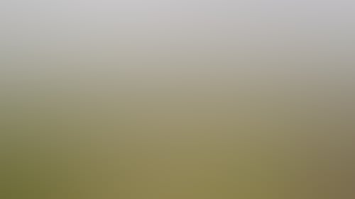 Hi Res for Print Tony Evans Made the GW 20201016 39 208176 2
