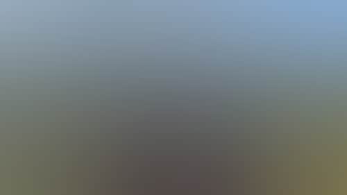 C79Cc3816C583E19Ce5288663348E87C