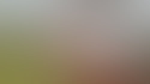 5B90D84Bcedbb832Bcb233396Cb8052E