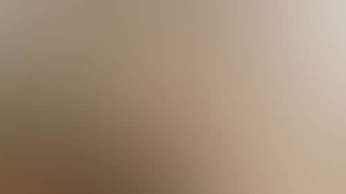 4F7B23Fb5Ab1F1F3B3675Fd75D4C66B5