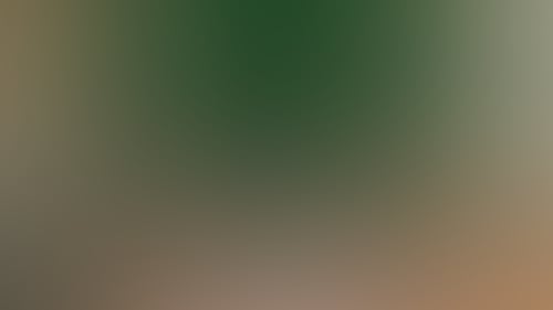 770A1Cb9951Aa717D4932019Df266C54