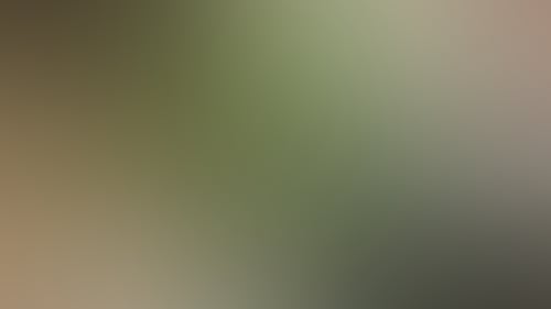 885423Ba92Cff05Ab7C36450Cbeaba4B