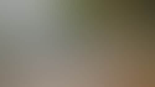 Dc3C52A61A795921F9F4F1F203A0Bbb7