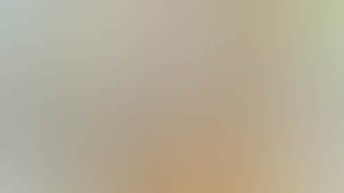 9967931Cc7Bc4941B83484C659B50Ebc