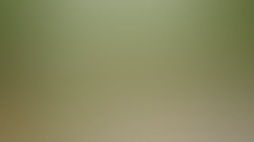 F1B6068Ed10765383C8827Dcadcbd51E