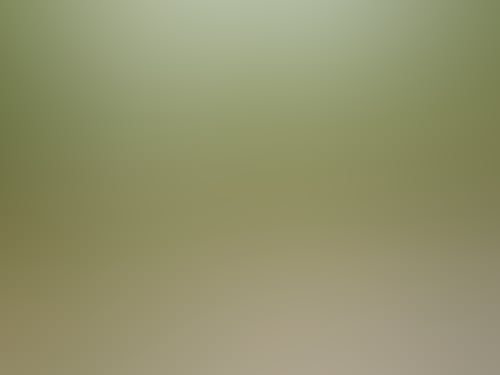 F1B6068Ed10765383C8827Dcadcbd51E