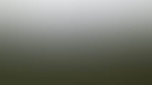 Original__9622232_Dp54_Saddle_Of_Mt_Abrupt_12Mhq94