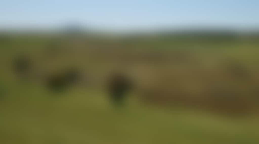 0Db26032F9A56Ff6D67549B7708C1Ac1