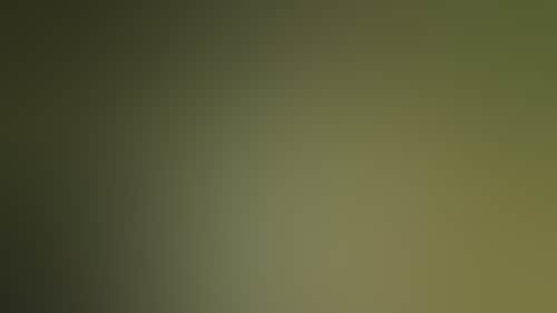 Fdf6Bc0A222Fa89D5198A0F7861E71Af