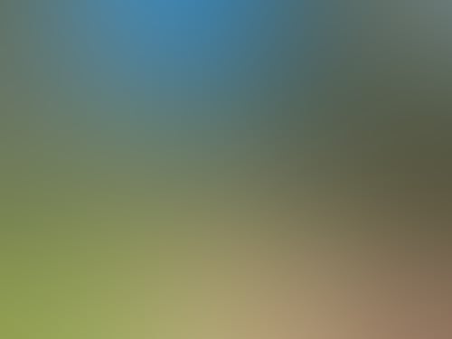 291Ec33Eeec6C32C1443Aff1Cbf4213C