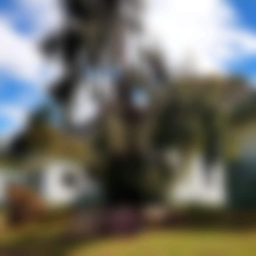 Copy of 20181130 161543
