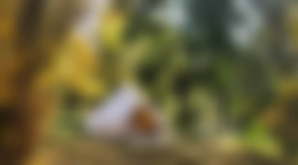 A2186059D5Aa4F74814F0Cb986Af28Df