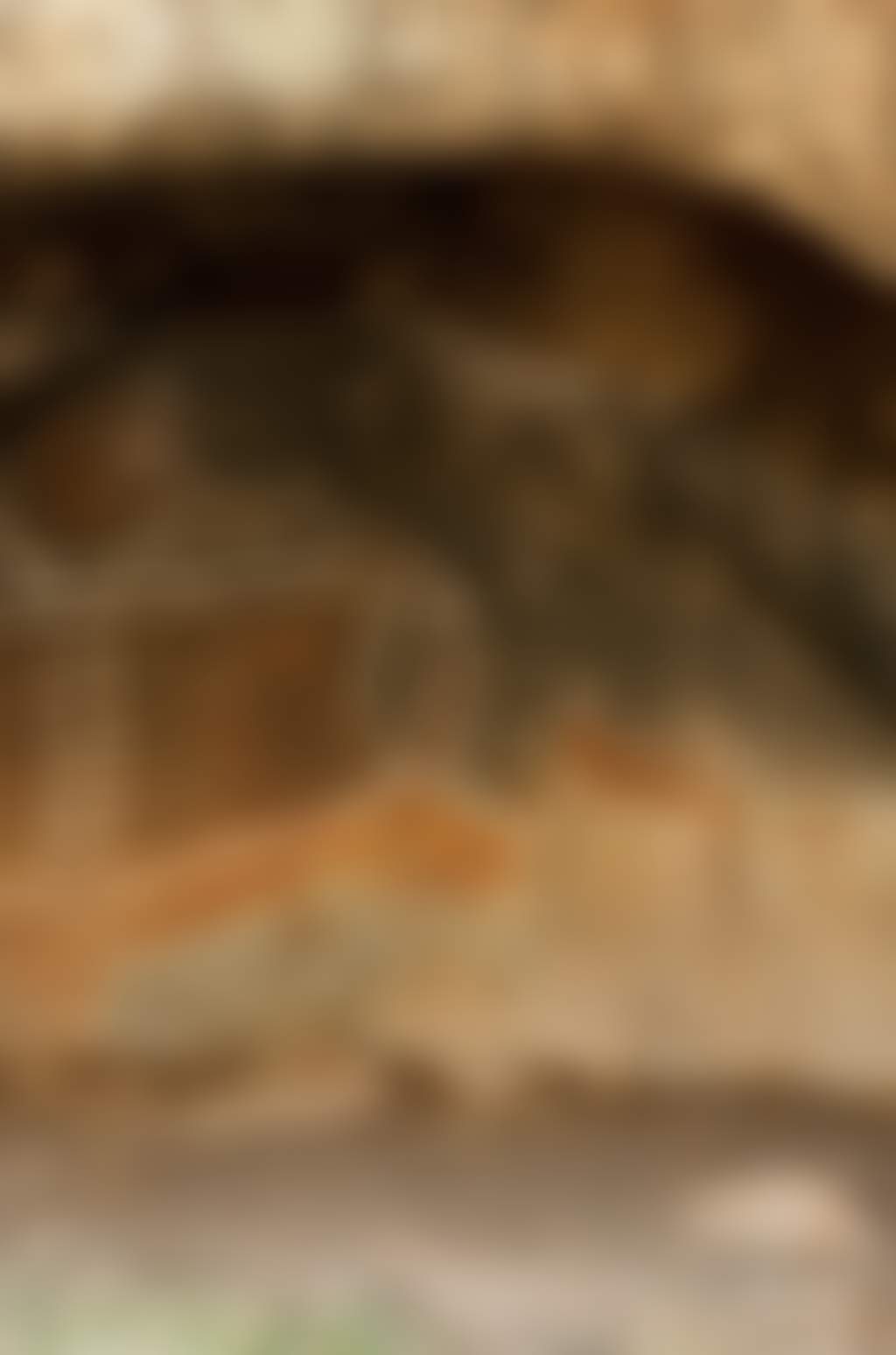 Bunjils Cave rockart