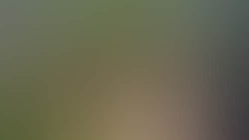 Edce853C9C48A40Daa08F653E099D5Db