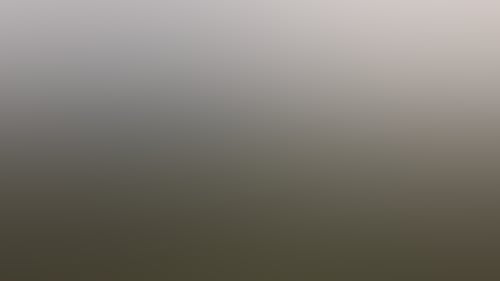 4 R0 Y2427