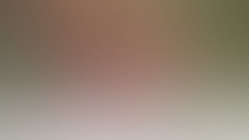 7C50D4C7840296Ebfbce8B88351022Ae