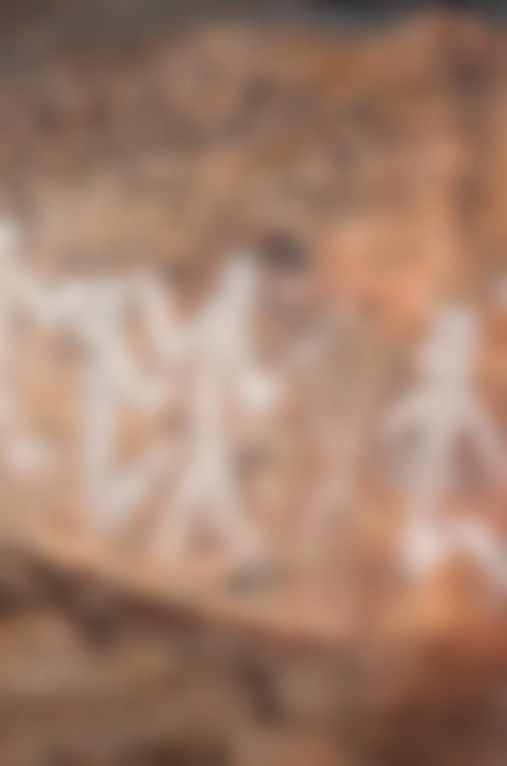 664 C6457 Ngamadjidj Rockart