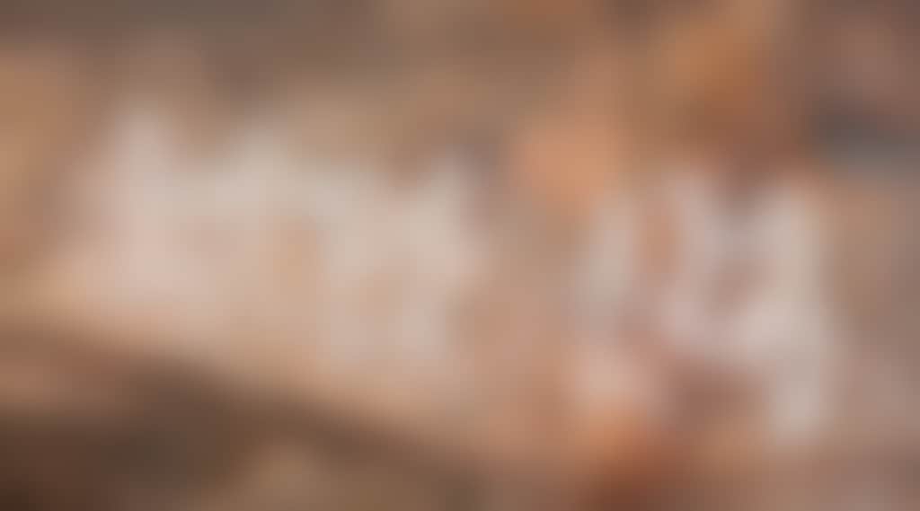 664 C6457 Ngamadjidj Rockart