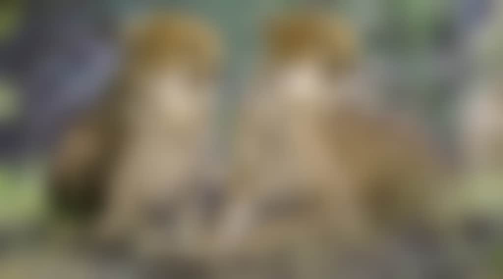 7057Ee4Fb6Eca62Ff46Eb5B8Be00C05D
