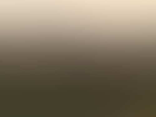 029Fa6967Fd40595Af74F1A9597374C5