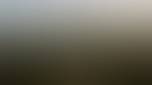 156950 56
