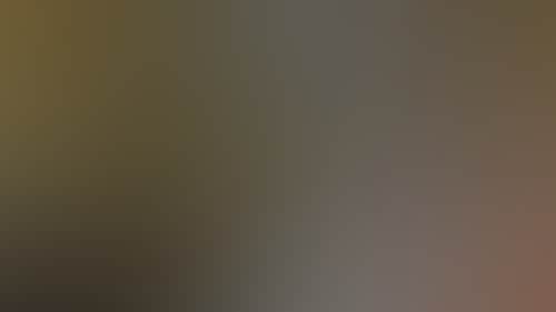 4B3815311870Ff633421590Ec72Ccc8D