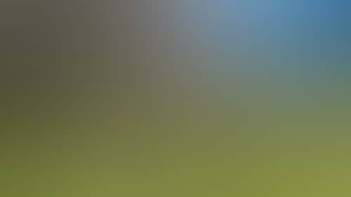 F761B87E00Ba72A9Fbb80Ea5284B4499