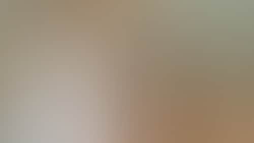 1Db44Edd7F25D4209Bad0F89Ad5F250F