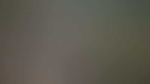 Dcca68Bc6A15C500230096C1Dff7A154