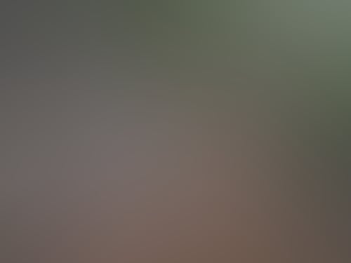 IMG 7672