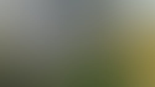 F6F7D7631A835D4E3297A4B82805Bfce