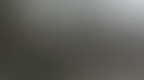 D4Cd289Dd90487Eae45A5Cc6B38Ee005