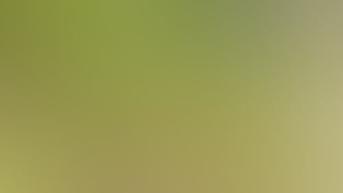 C6622Bc8C58Dc6C1Fd9B2C7925451096