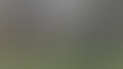 E8Adaa8B1F6Fe67D2480Eab19A12018D