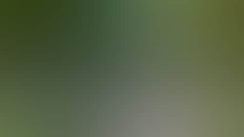 79D7F6F08615D87C737E76935C7E5B32