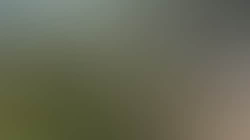 25B678Aec989Df220B517F8466296251