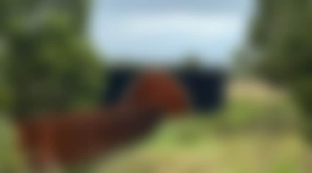 A9F040C0D6E8Fccc645A7Cab448Ed0F1