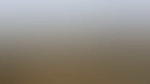 E2Cf01441Be959E4A5C776Bd714Dcd3F