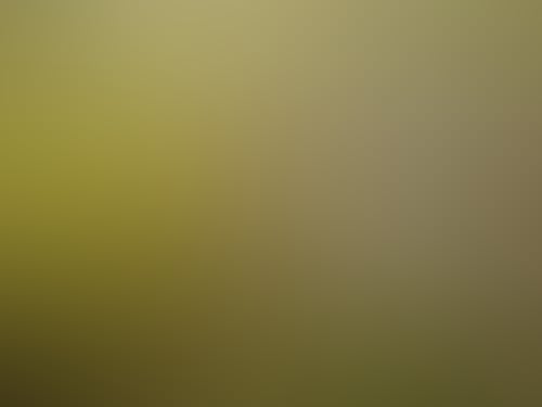 22069886 596654204058098 6011735543199563776 n1