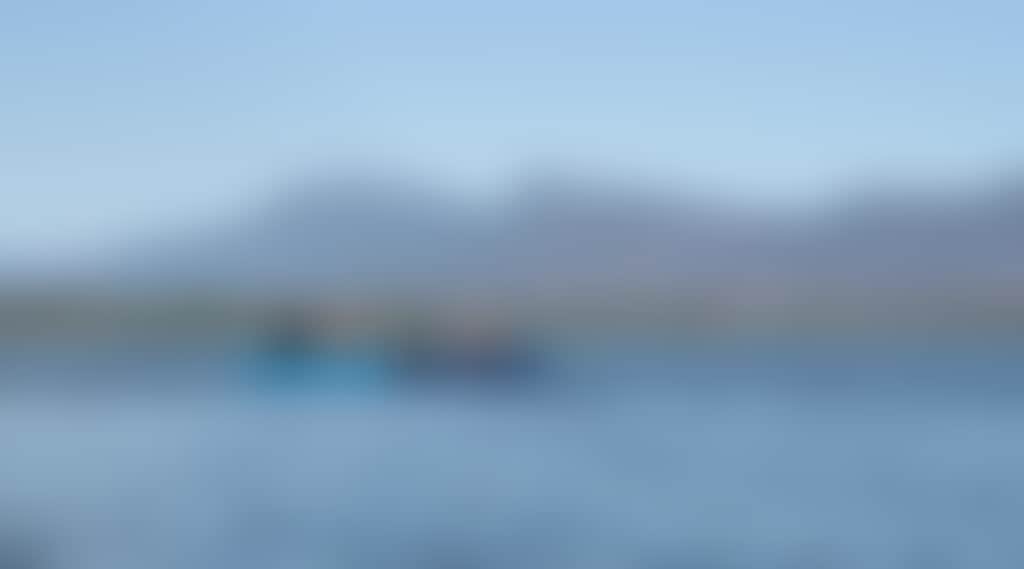 1A95C04A2469Ed8Cdf2Ee0Ee2B1E8E35