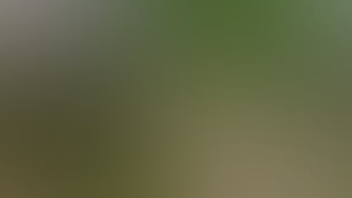 7D5Ab2Ef2Be387A0345F0800C7C6Bf99