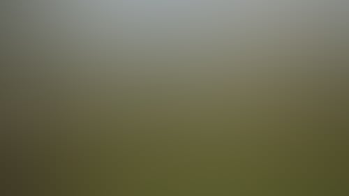 1Abc3A7Bc3Bec0Aed5Bf4F69A043201D