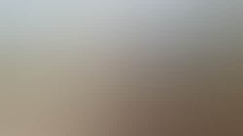 9F61A161A986F59C2Eb70Df04672C494